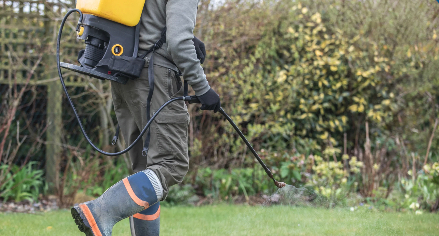 Professional lawn treatment service in Canada