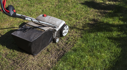 Professional lawn maintenance and care service